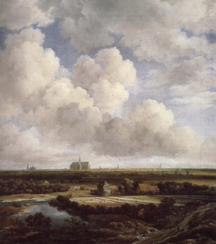 Jacob van Ruisdael View of Haarlem with Bleaching Grounds china oil painting image